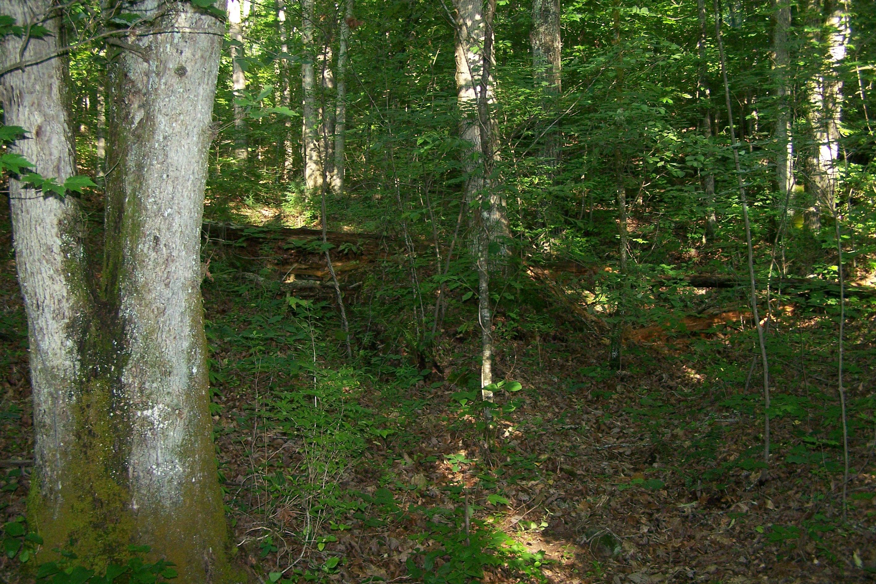 275 Haney Hollow Road Clinton, TN 37716 - Photo 7 of 7 0106_0912