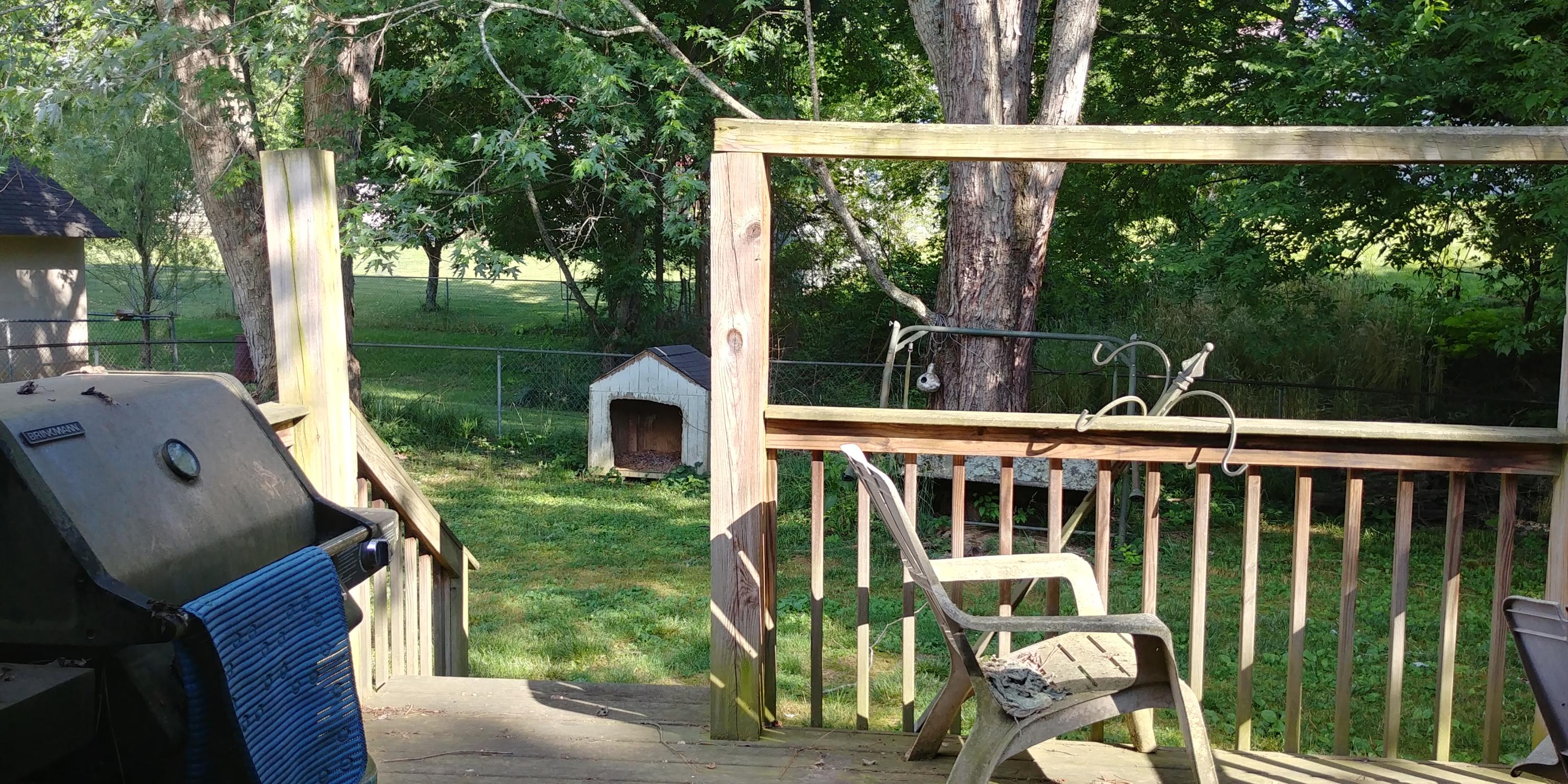 7502 John Road Corryton, TN 37721 - Photo 11 of 11 Back deck and yard