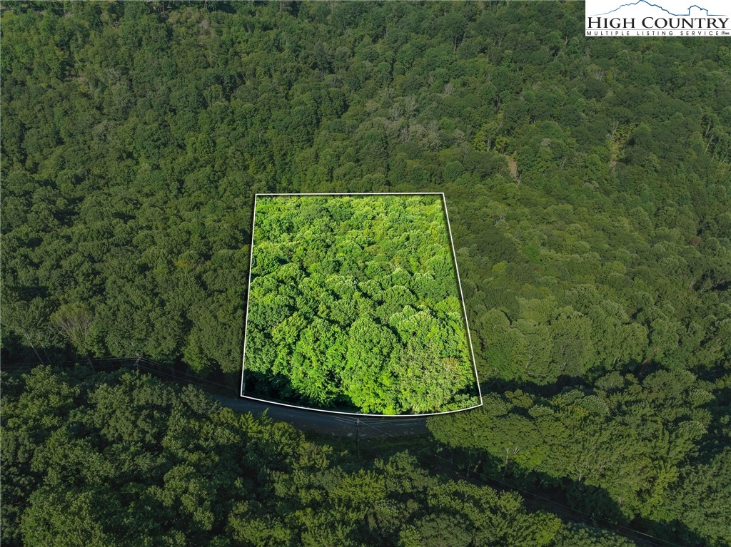 303 Locust Ridge Road Beech Mountain, NC 28604 - Photo 1 of 26 a view of a garden