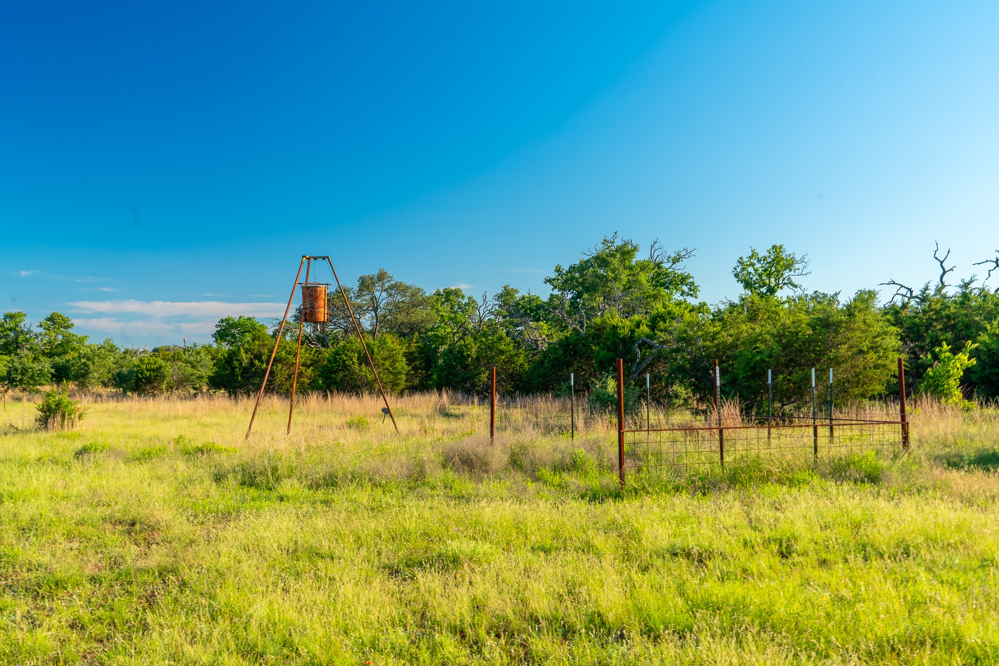 32 Feild Ranch Road Burnet, TX 78611 - Photo 28 of 40 A tranquil rural landscape unfolds with mature trees, verdant pasture, and clear blue skies overhead.