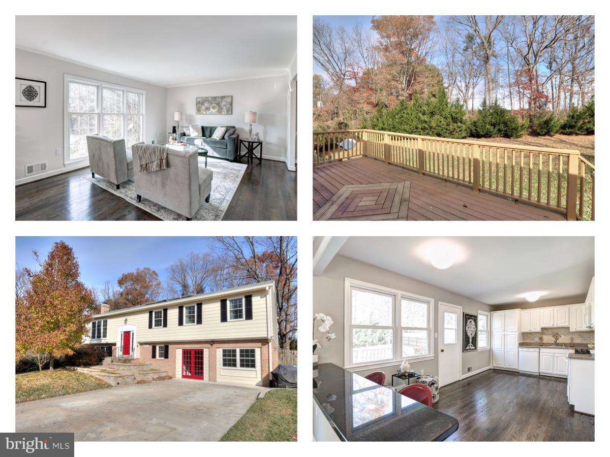 4203 Whitacre Road Fairfax, VA 22032 - Photo 1 of 33 Gallery Image 1
