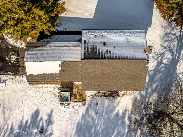 a view of a yard with plants and large trees