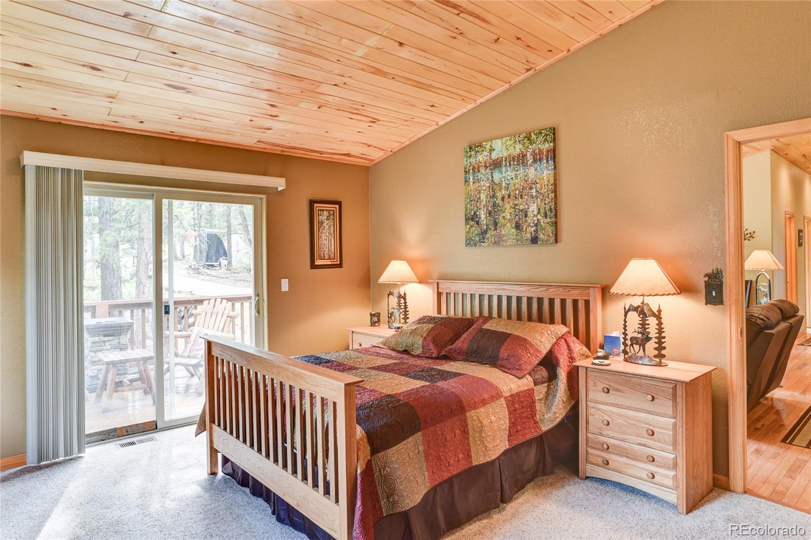 132 Singletree Road Hartsel, CO 80449 - Photo 11 of 27