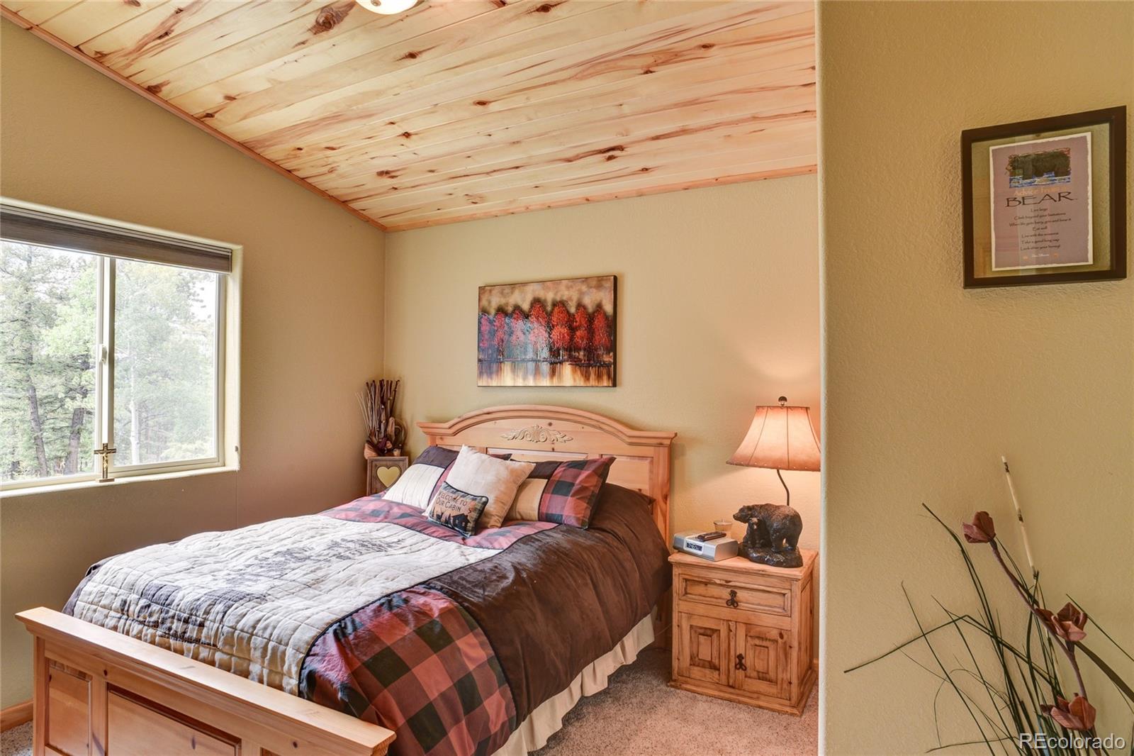 132 Singletree Road Hartsel, CO 80449 - Photo 13 of 27