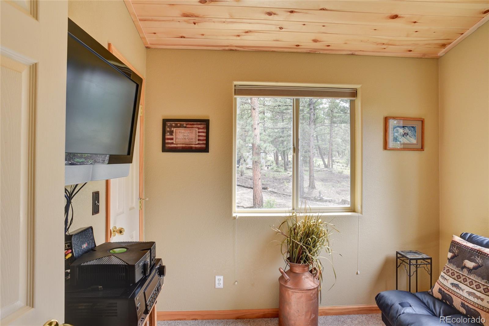 132 Singletree Road Hartsel, CO 80449 - Photo 15 of 27