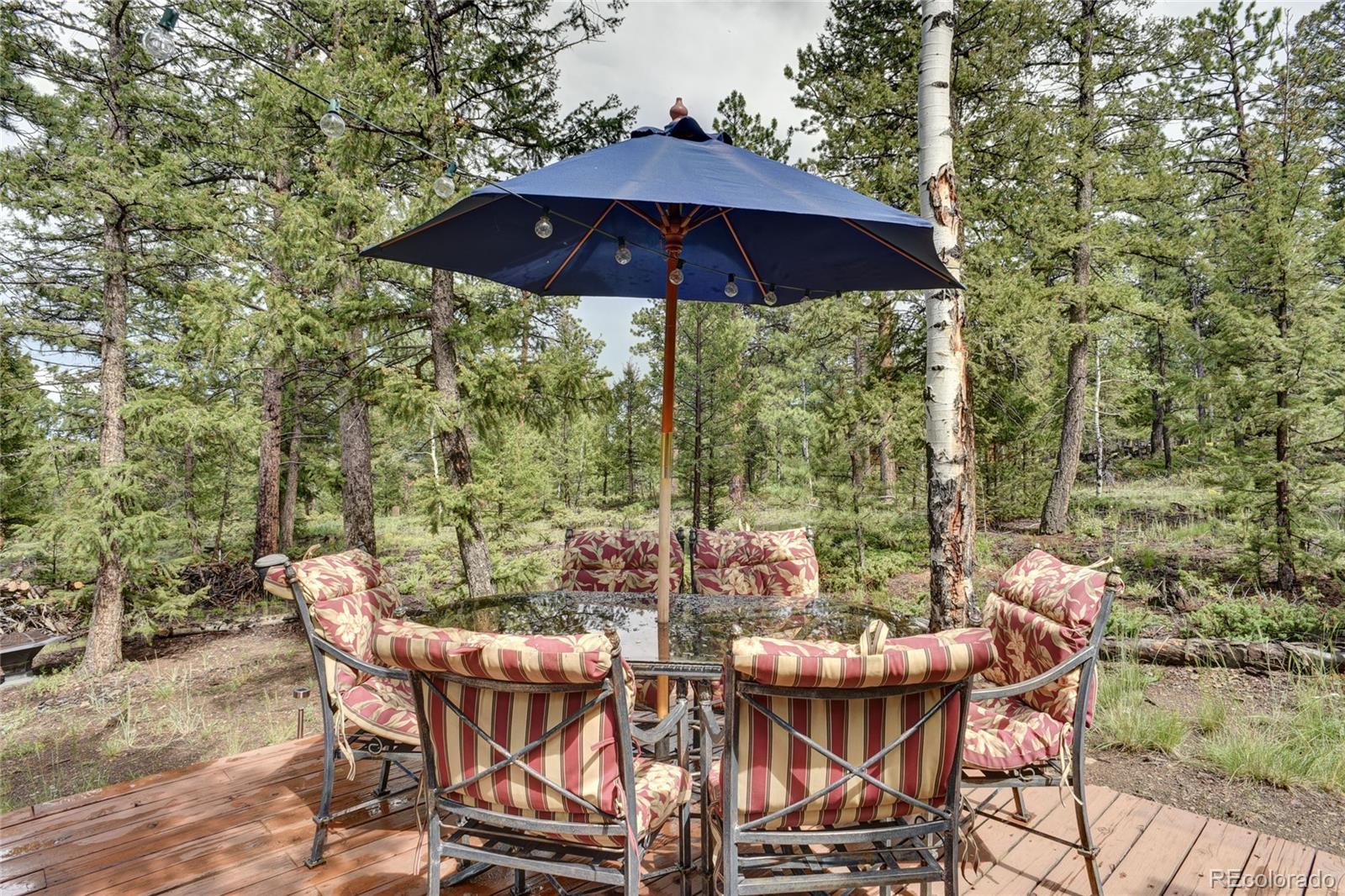 132 Singletree Road Hartsel, CO 80449 - Photo 18 of 27