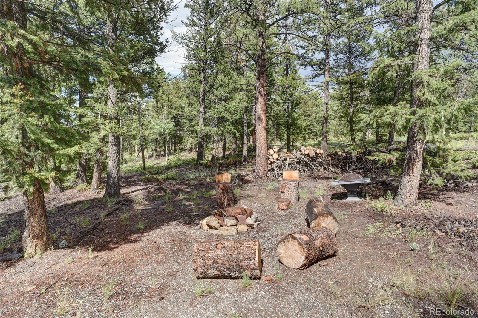 132 Singletree Road Hartsel, CO 80449 - Photo 21 of 27