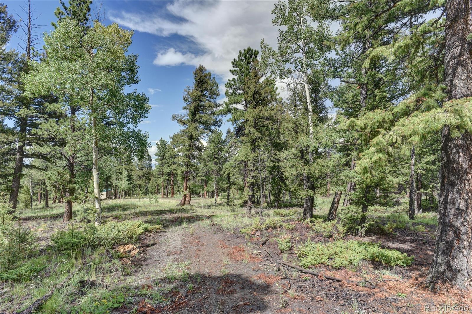 132 Singletree Road Hartsel, CO 80449 - Photo 22 of 27