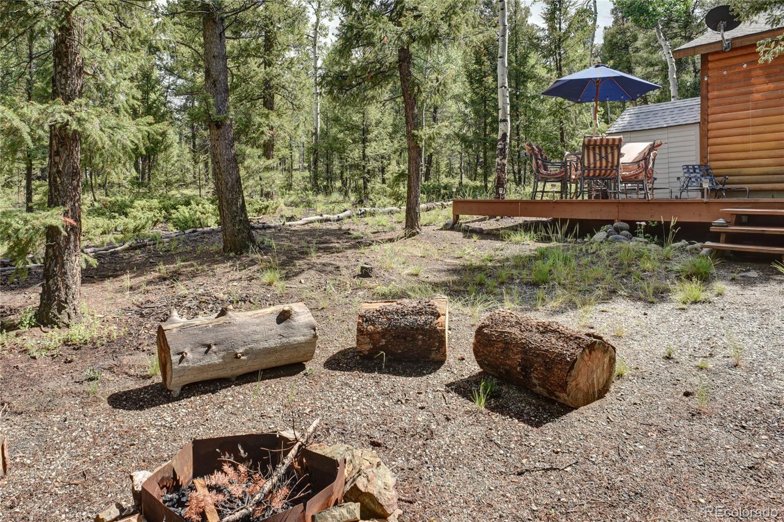 132 Singletree Road Hartsel, CO 80449 - Photo 24 of 27