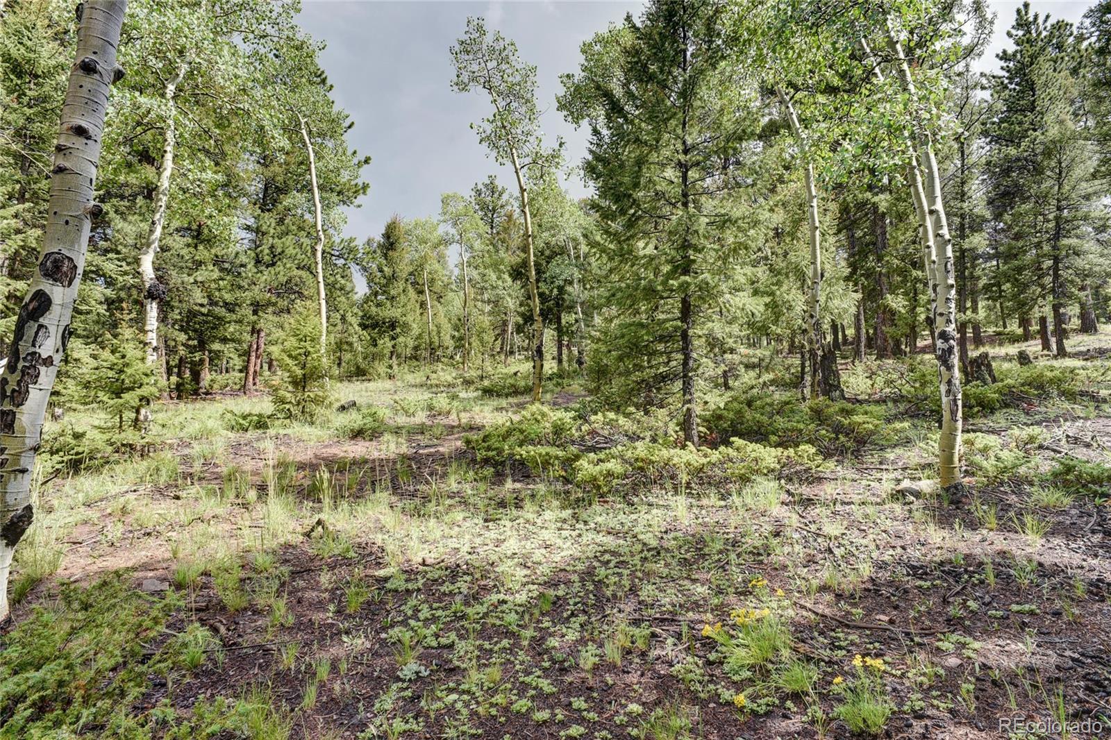 132 Singletree Road Hartsel, CO 80449 - Photo 27 of 27