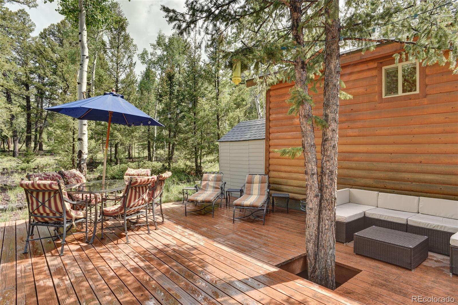 132 Singletree Road Hartsel, CO 80449 - Photo 3 of 27