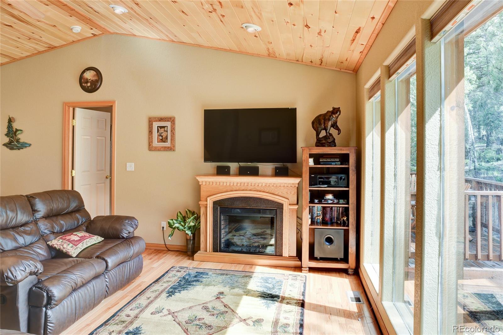 132 Singletree Road Hartsel, CO 80449 - Photo 4 of 27