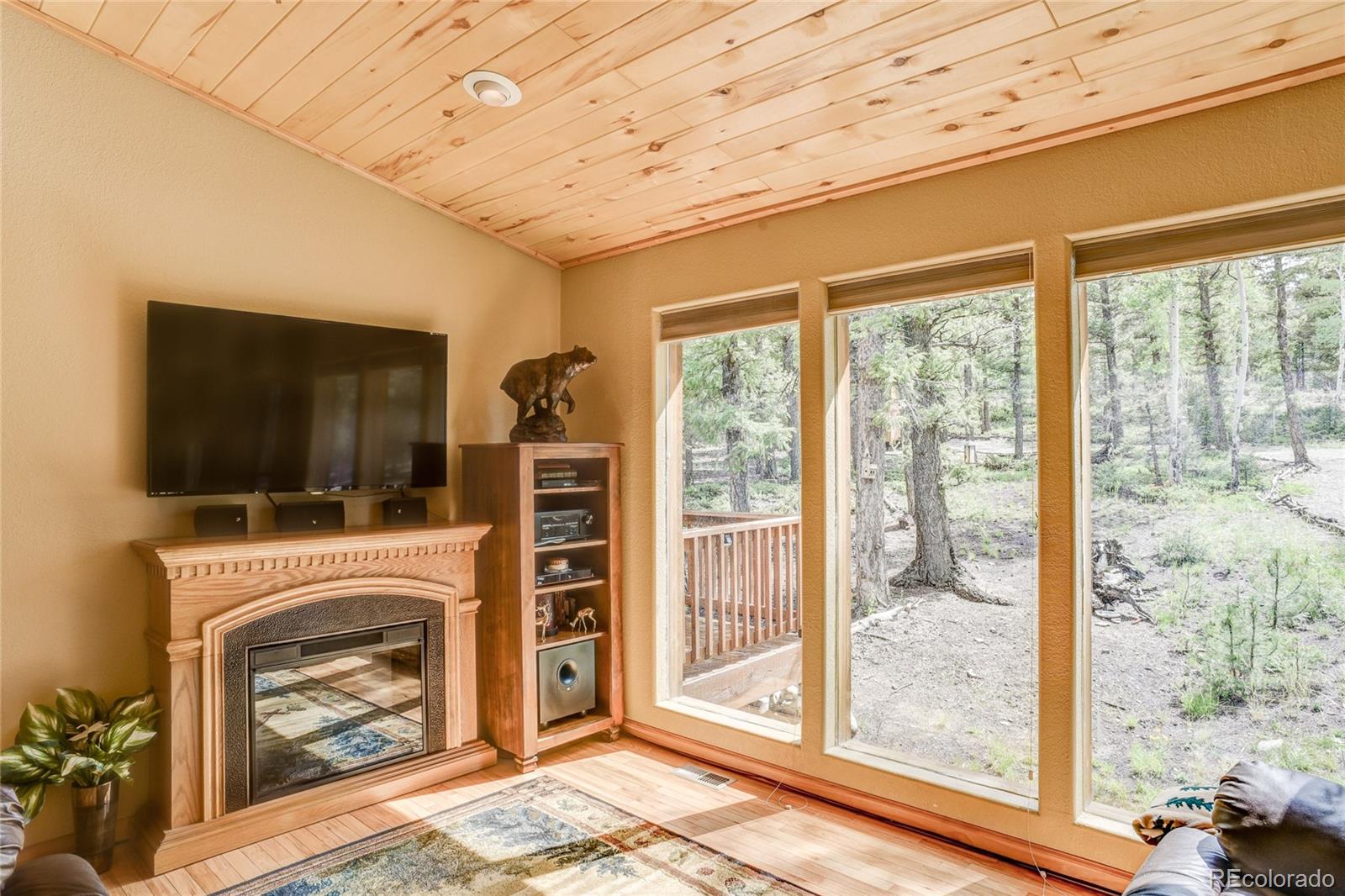 132 Singletree Road Hartsel, CO 80449 - Photo 5 of 27