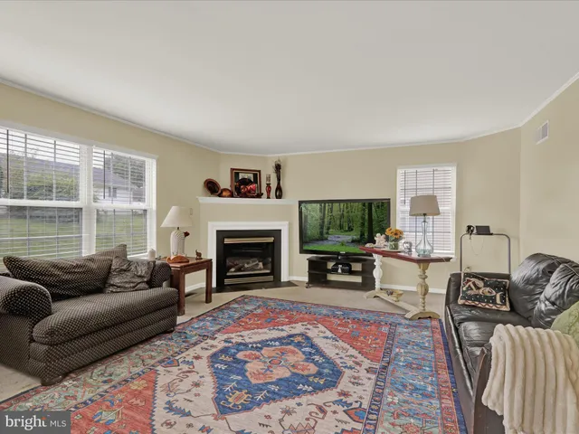 a living room with furniture a rug and a fireplace