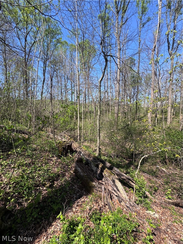 397 South Elliott Road Malta, OH 43758 - Photo 29 of 37