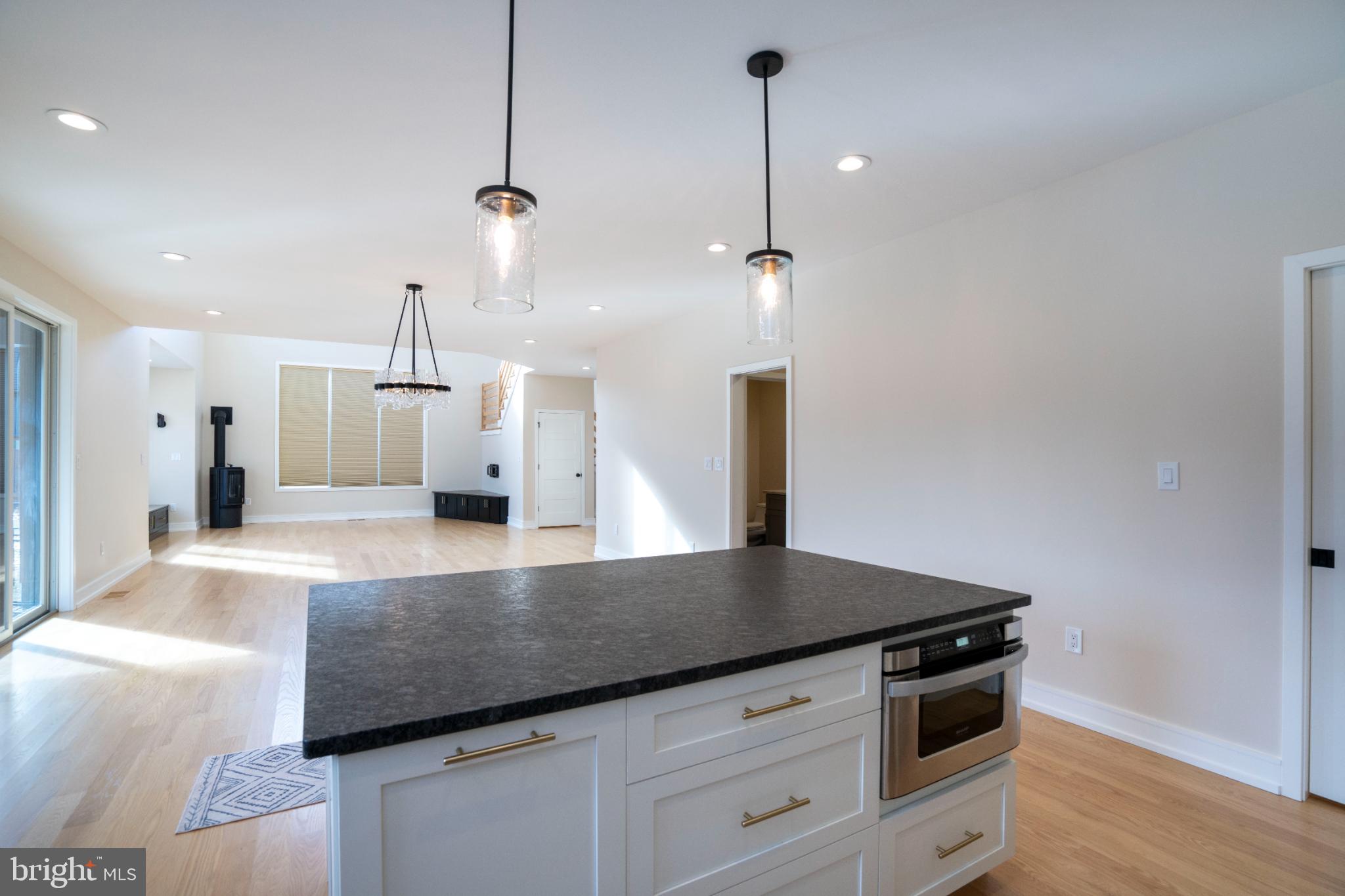 390 Trout Road State College, PA 16801 - Photo 24 of 93 Modern kitchen with open living space.