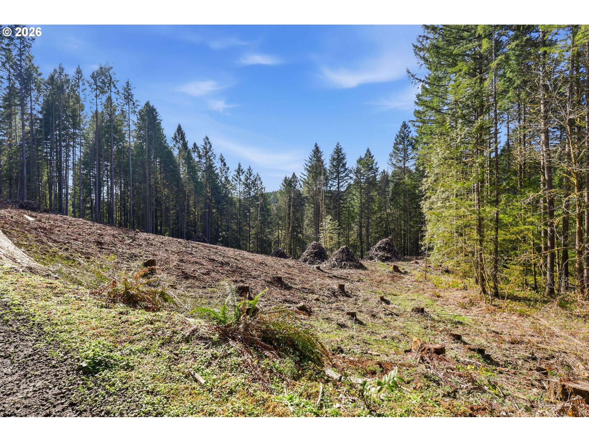 0 Northwest Green Mountain Road Banks, OR 97106 - Photo 17 of 36