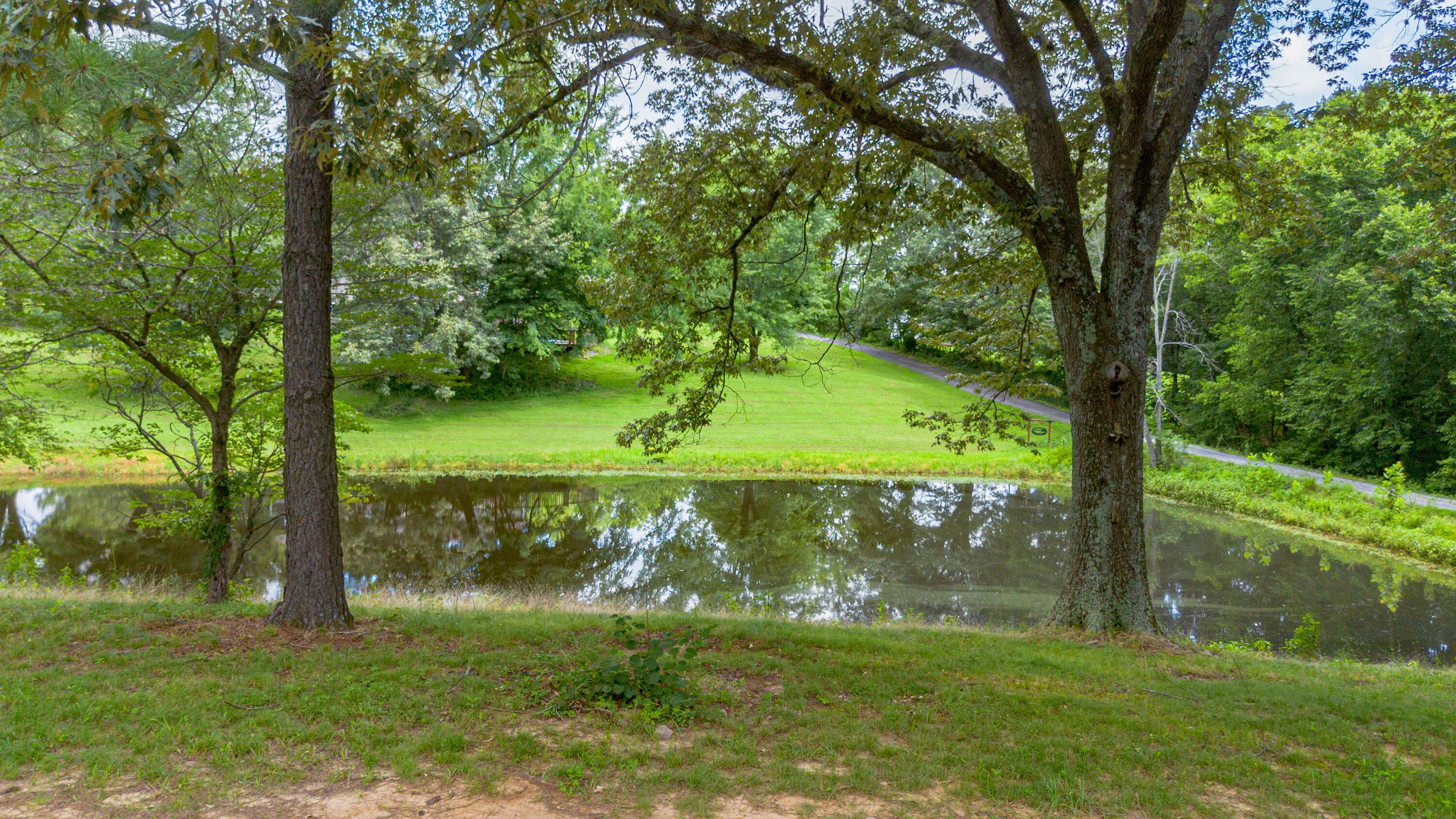 740 Lebanon Church Road Paducah, KY 42003 - Photo 5 of 44 lcr pond view