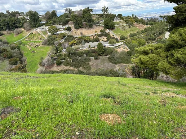 a view of a garden