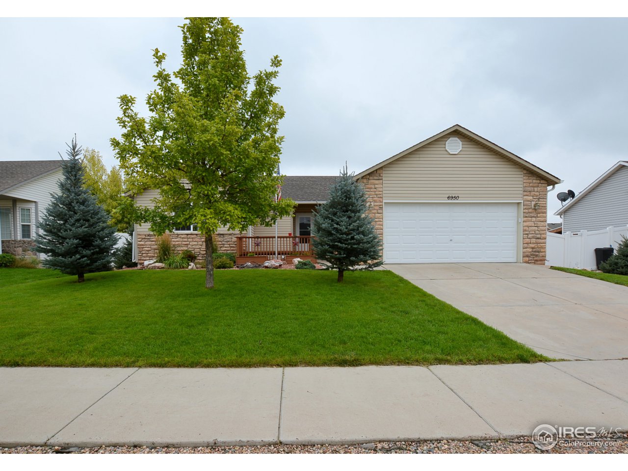 6950 McClellan Road Wellington, CO 80549 - Photo 1 of 39 Gallery Image 1