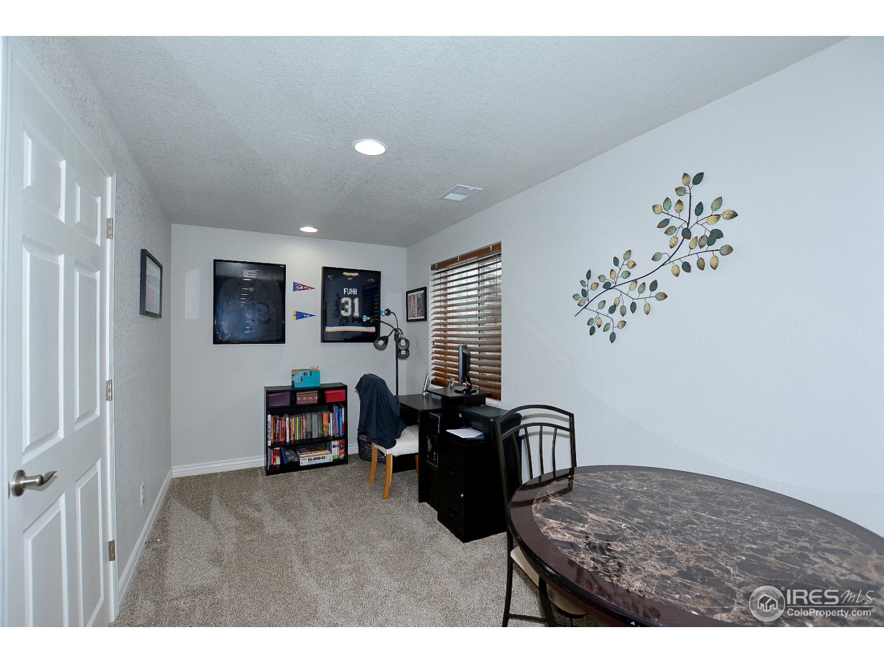6950 McClellan Road Wellington, CO 80549 - Photo 30 of 39 Gallery Image 30