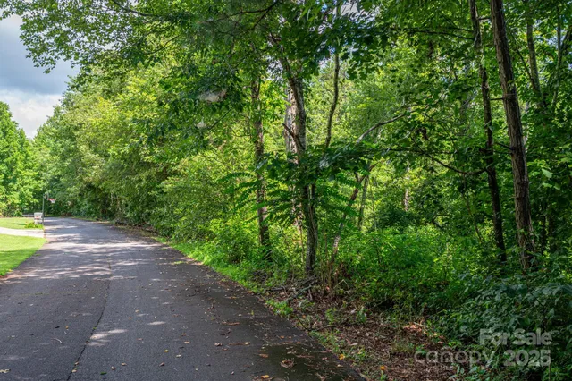a view of a yard with plants and large trees