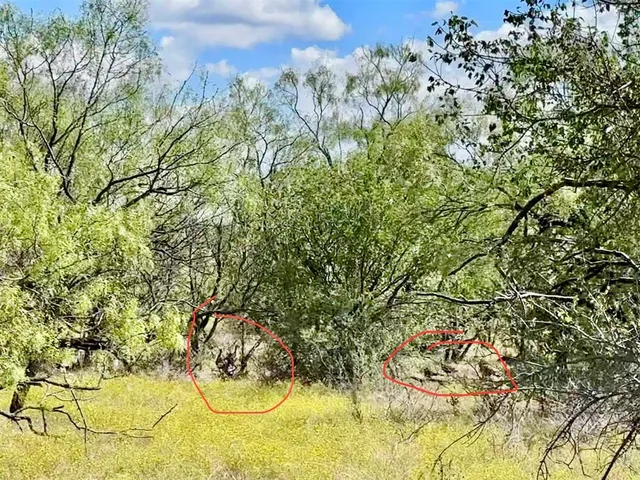 $180,000 | 100 Abilene Tx 79601, Abilene, TX 79601