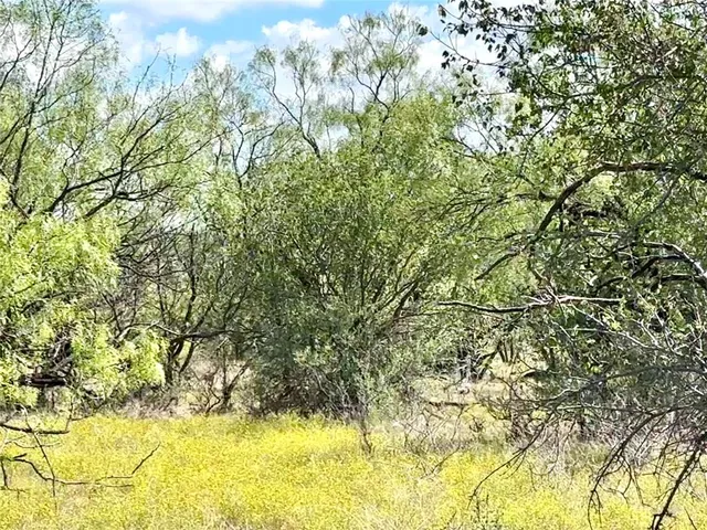 $180,000 | 100 Abilene Tx 79601, Abilene, TX 79601