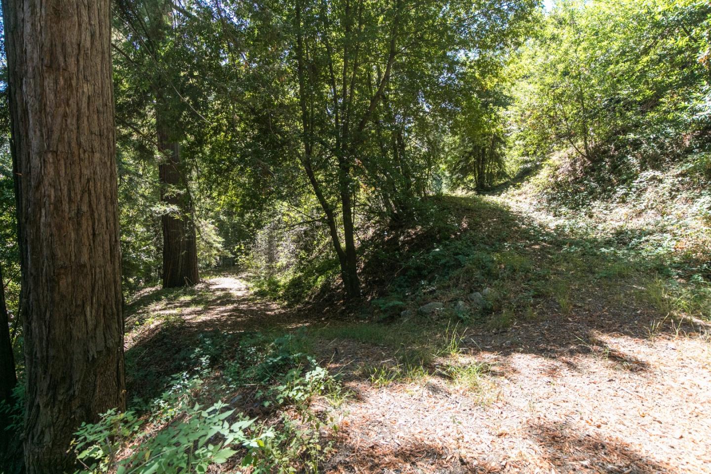 22682 Summit Road Los Gatos, CA 95033 - Photo 27 of 32 a view of a yard with plants and large trees