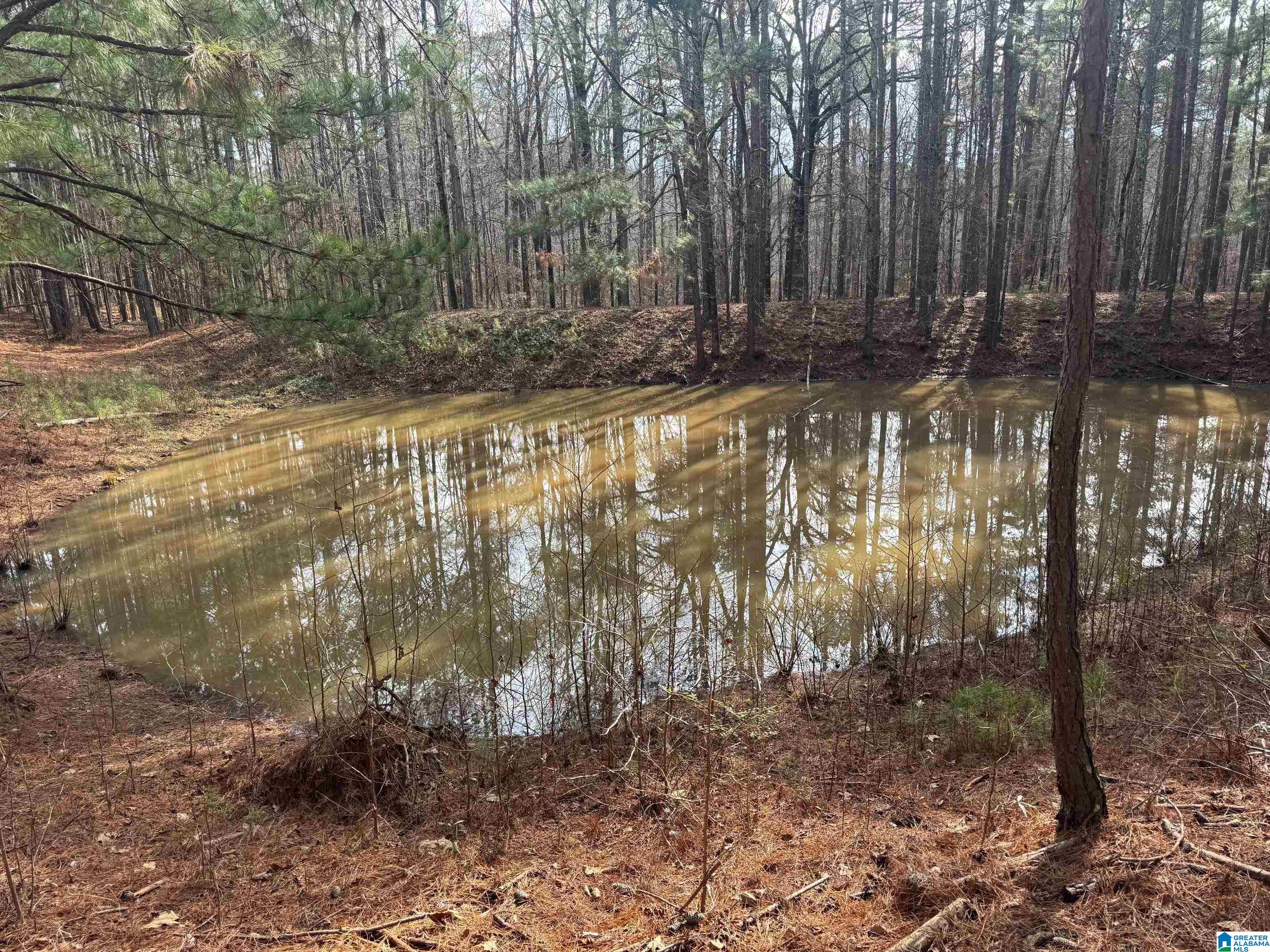 3953 Logan Martin Dam Road Cropwell, AL 35054 - Photo 80 of 99