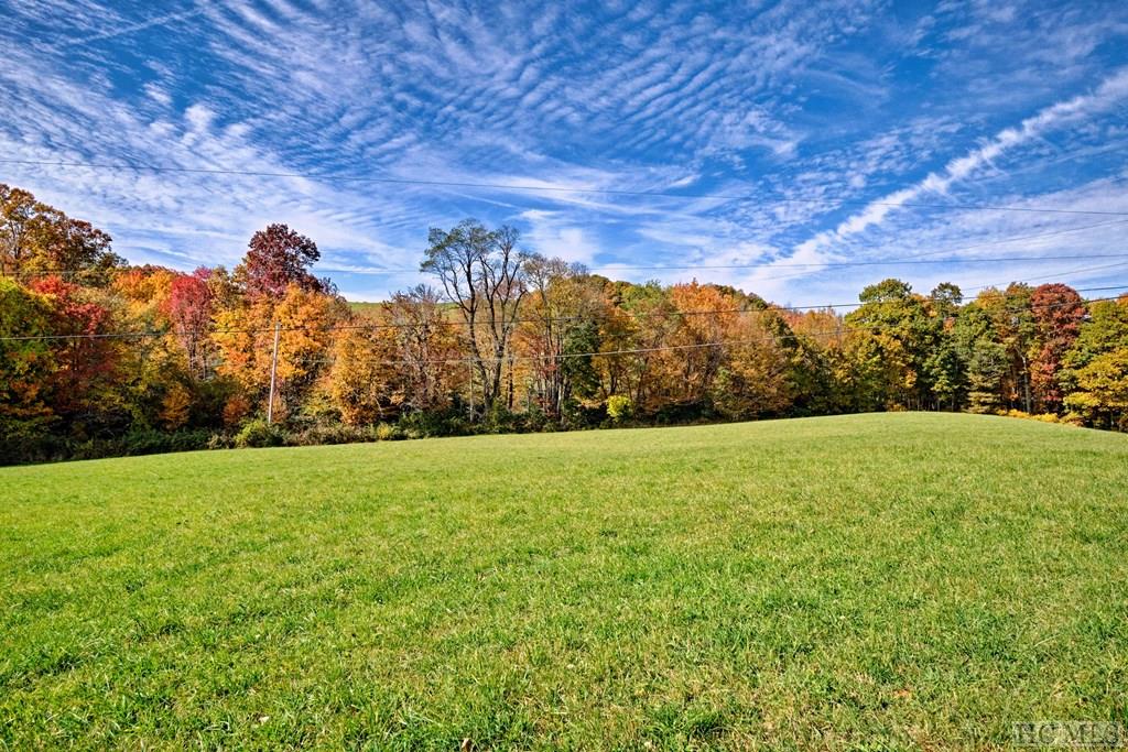 Tbd Big Ridge Road Glenville, NC 28736 - Photo 19 of 23 Gallery Image 19