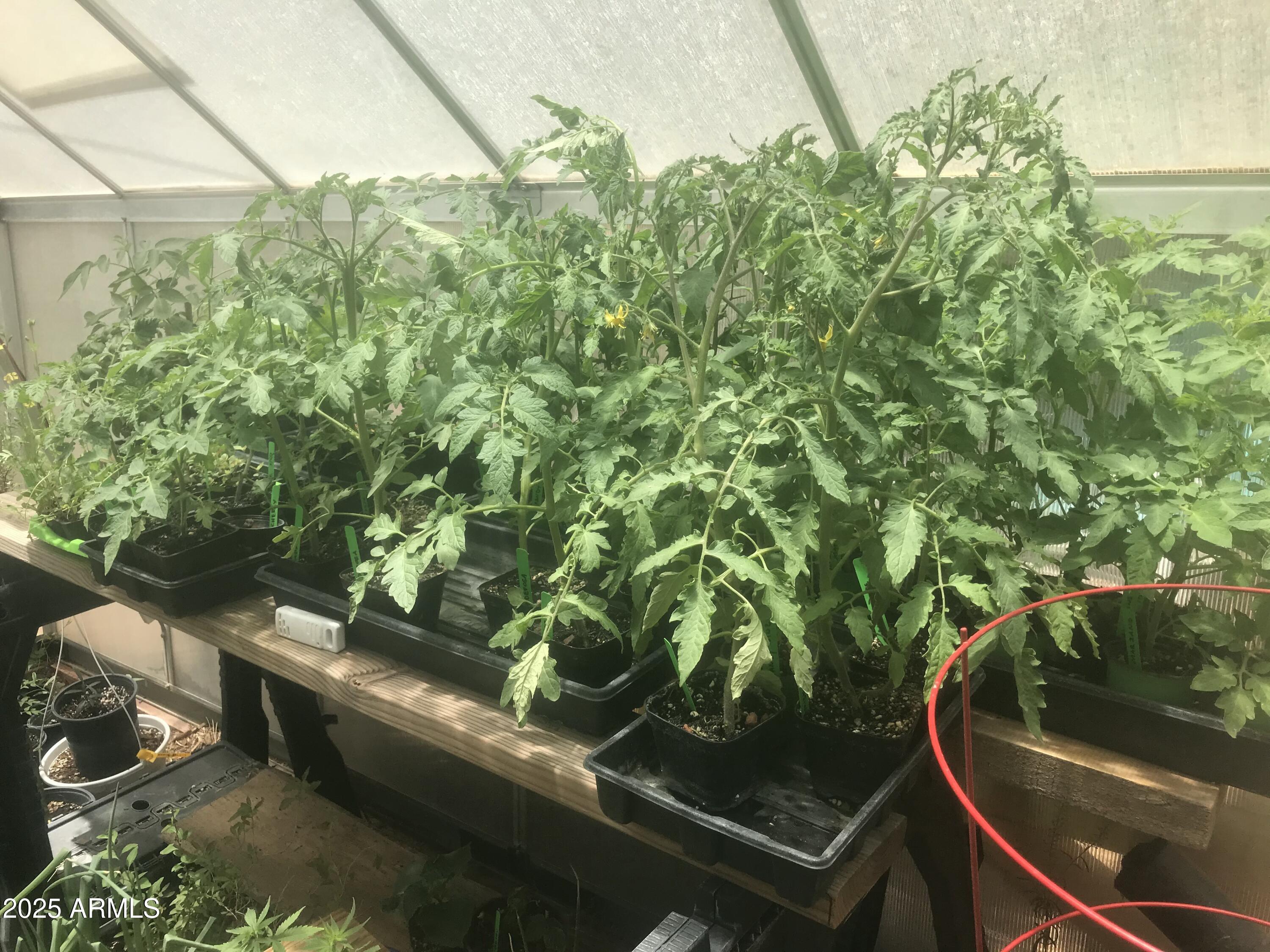 23576 Sunny South Road Crown King, AZ 86343 - Photo 18 of 29 a view of a backyard with sitting area