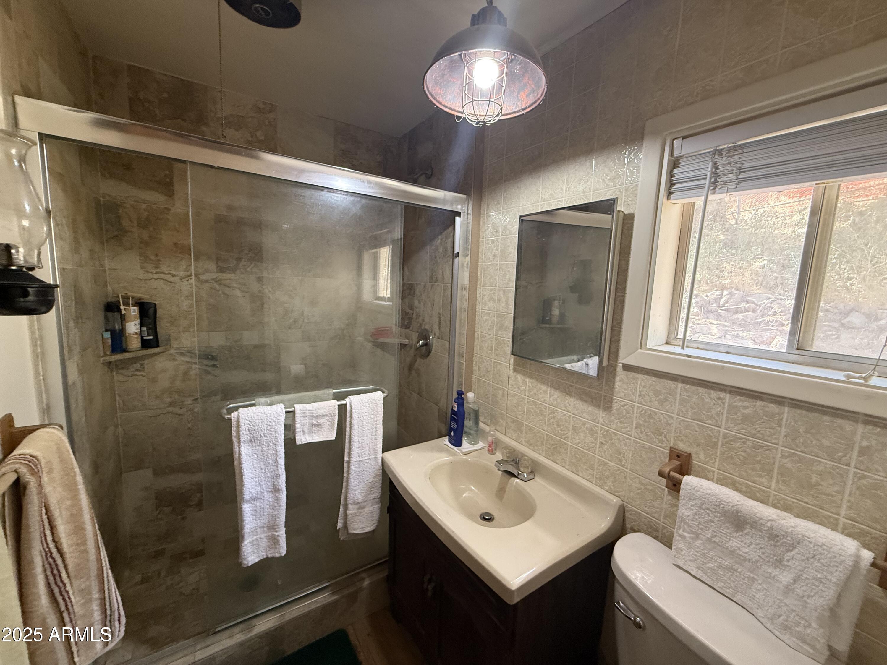 23576 Sunny South Road Crown King, AZ 86343 - Photo 19 of 29 a bathroom with a sink toilet and shower