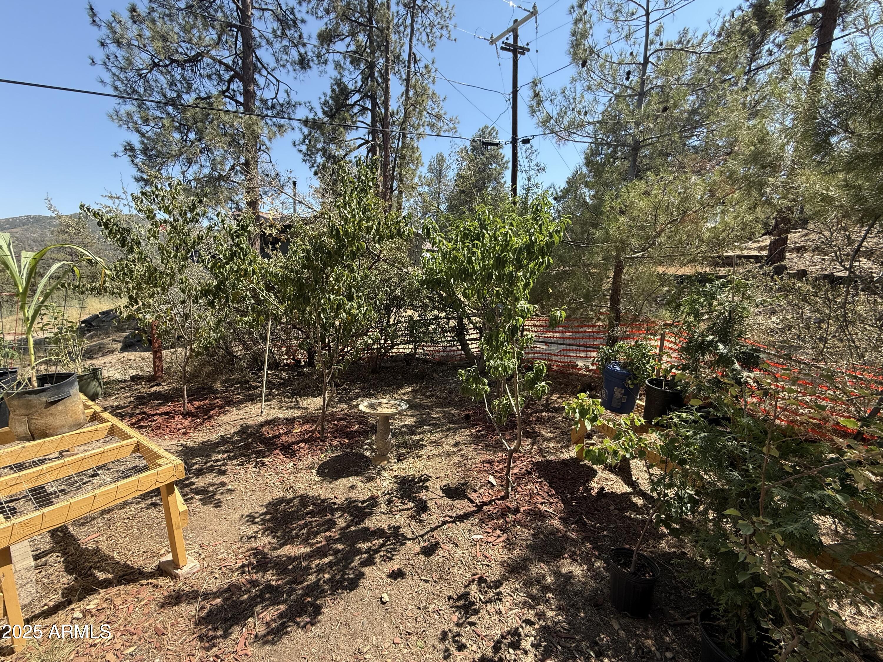 23576 Sunny South Road Crown King, AZ 86343 - Photo 5 of 29 a backyard of a house with lots of green space