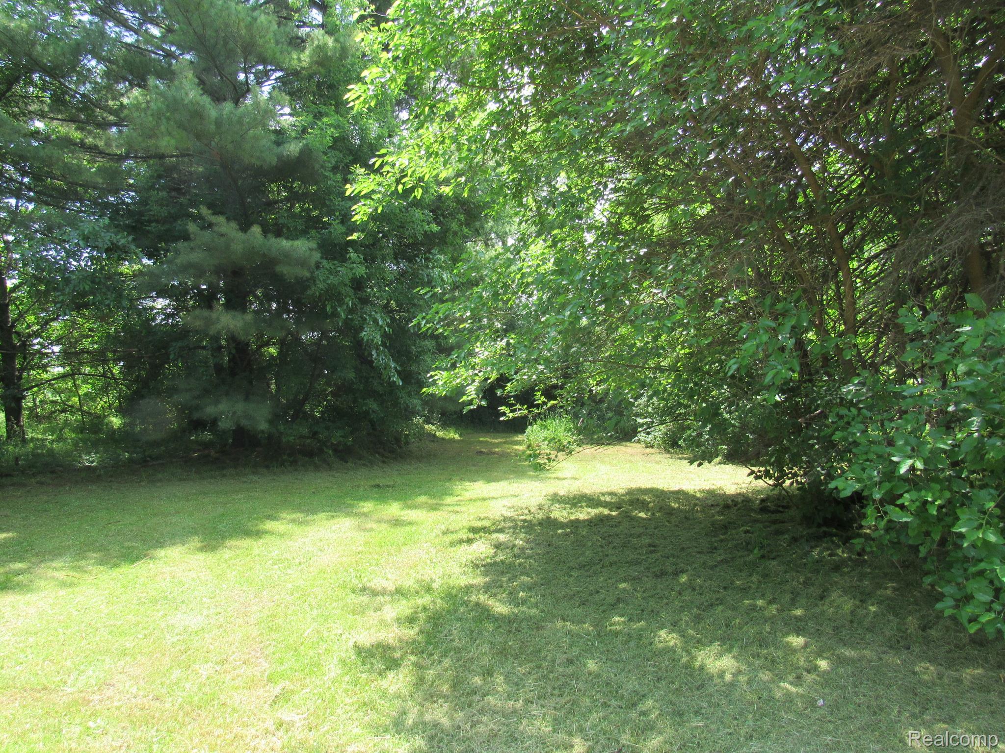 695 Cass Avenue Road Bay City, MI 48708 - Photo 41 of 52 Expansive grassy area featuring mature trees and established perimeter foliage
