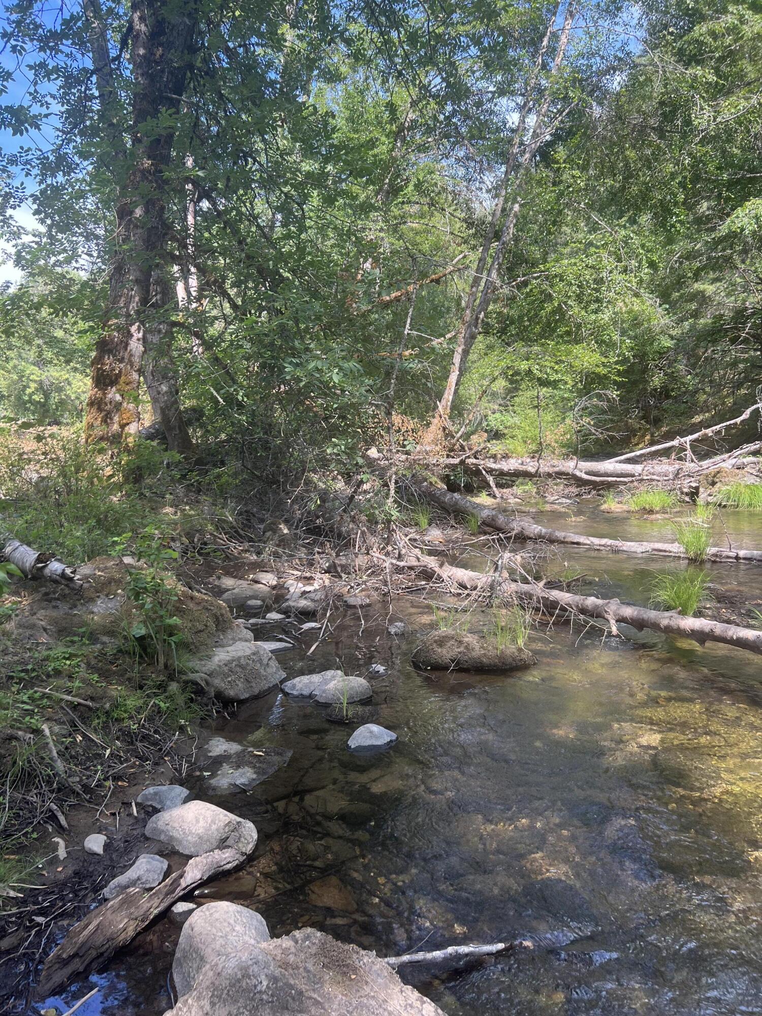 12000 Elk Creek Road Trail, OR 97541 - Photo 19 of 27 19
