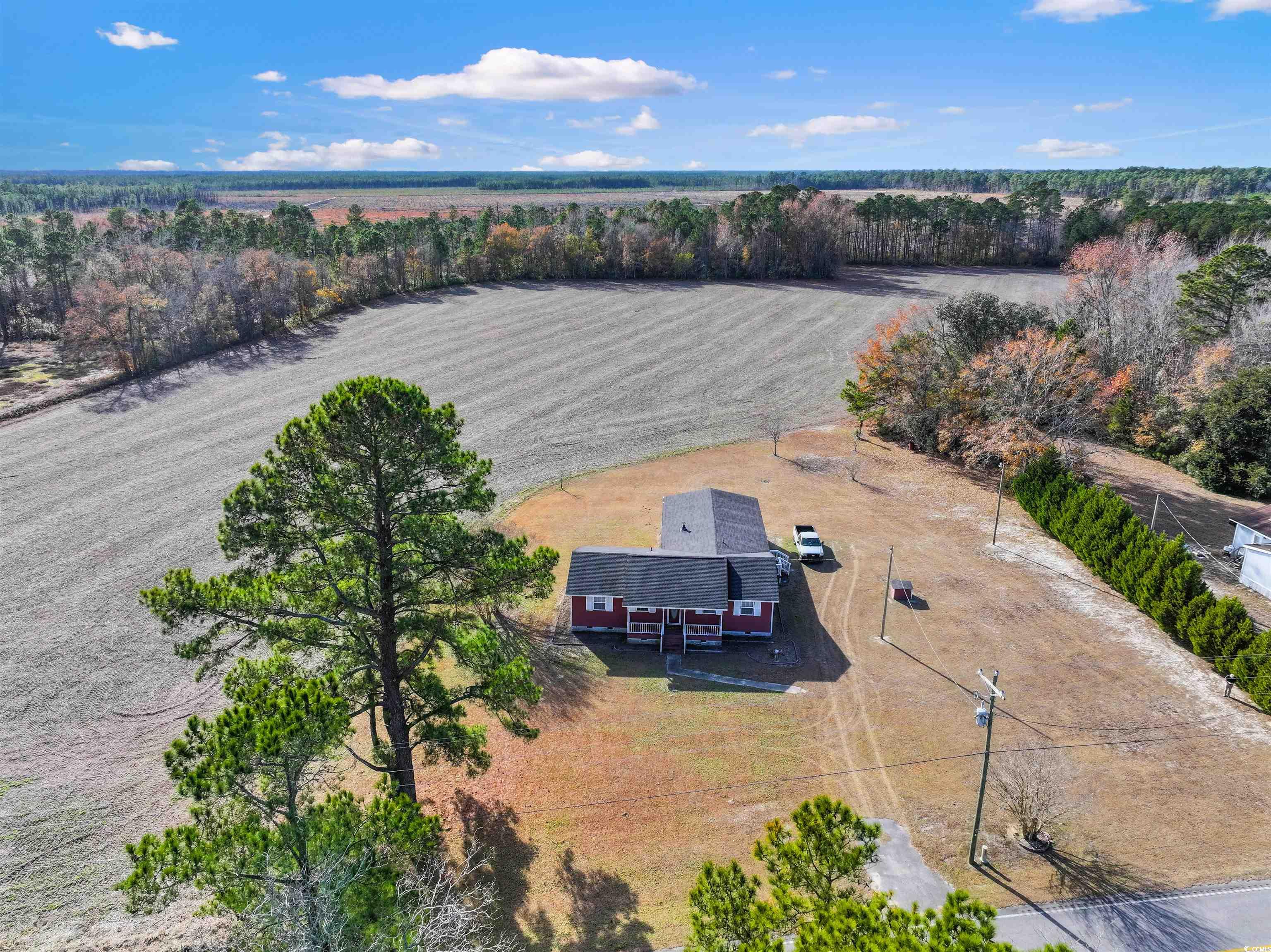 2555 Mt Olive Road Loris, SC 29569 - Photo 29 of 31 Gallery Image 29