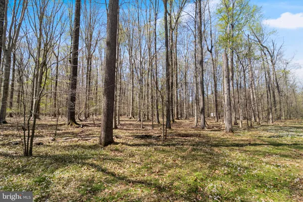 $99,999 | Lot 14 Billingsley Road, White Plains, MD 20695