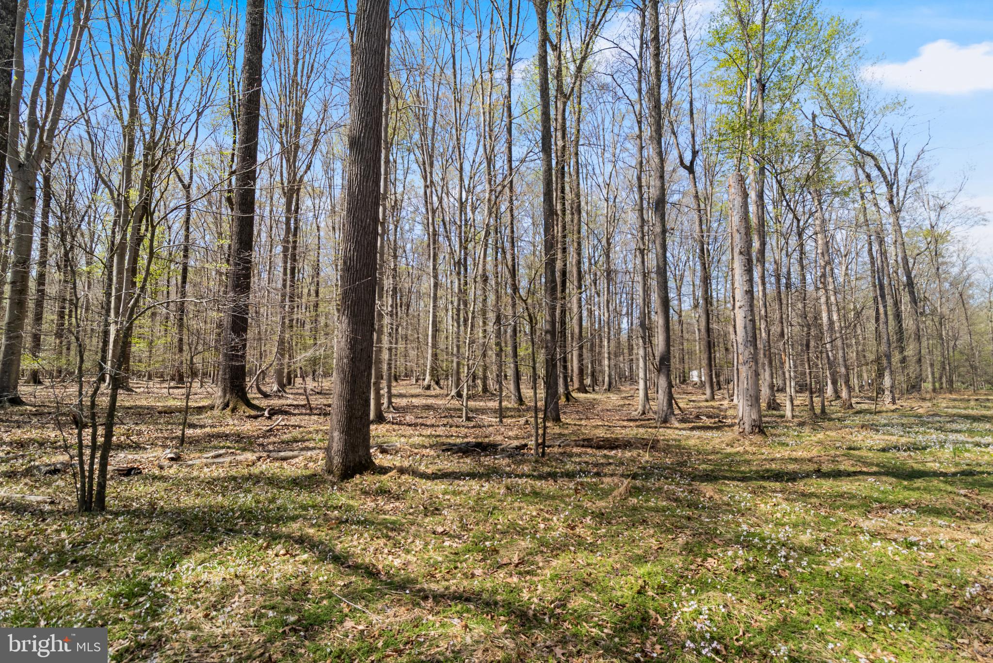 Lot 14 Billingsley Road White Plains, MD 20695 - Photo 1 of 20 a view of a pathway with a fence