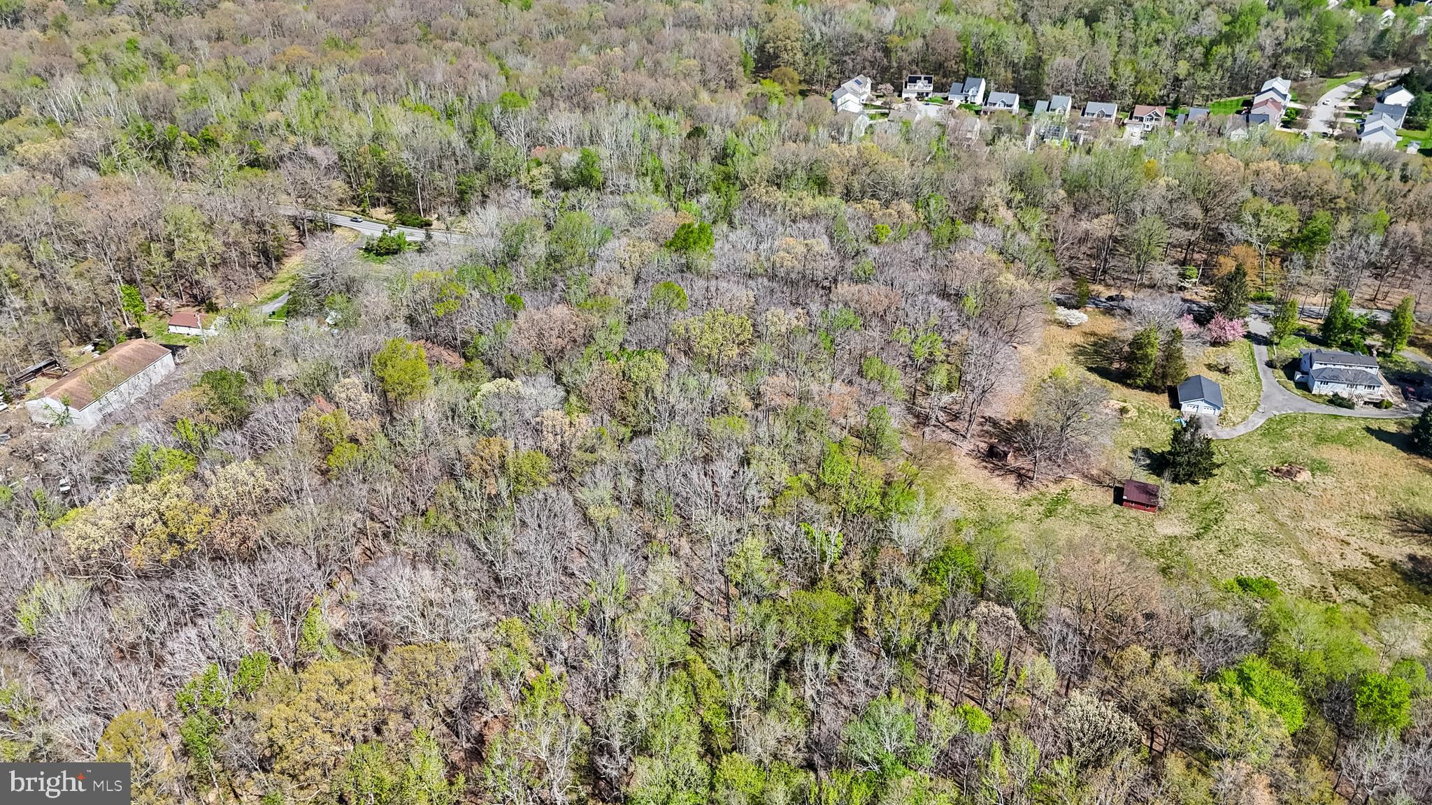Lot 14 Billingsley Road White Plains, MD 20695 - Photo 12 of 20 a view of a lot of trees and bushes