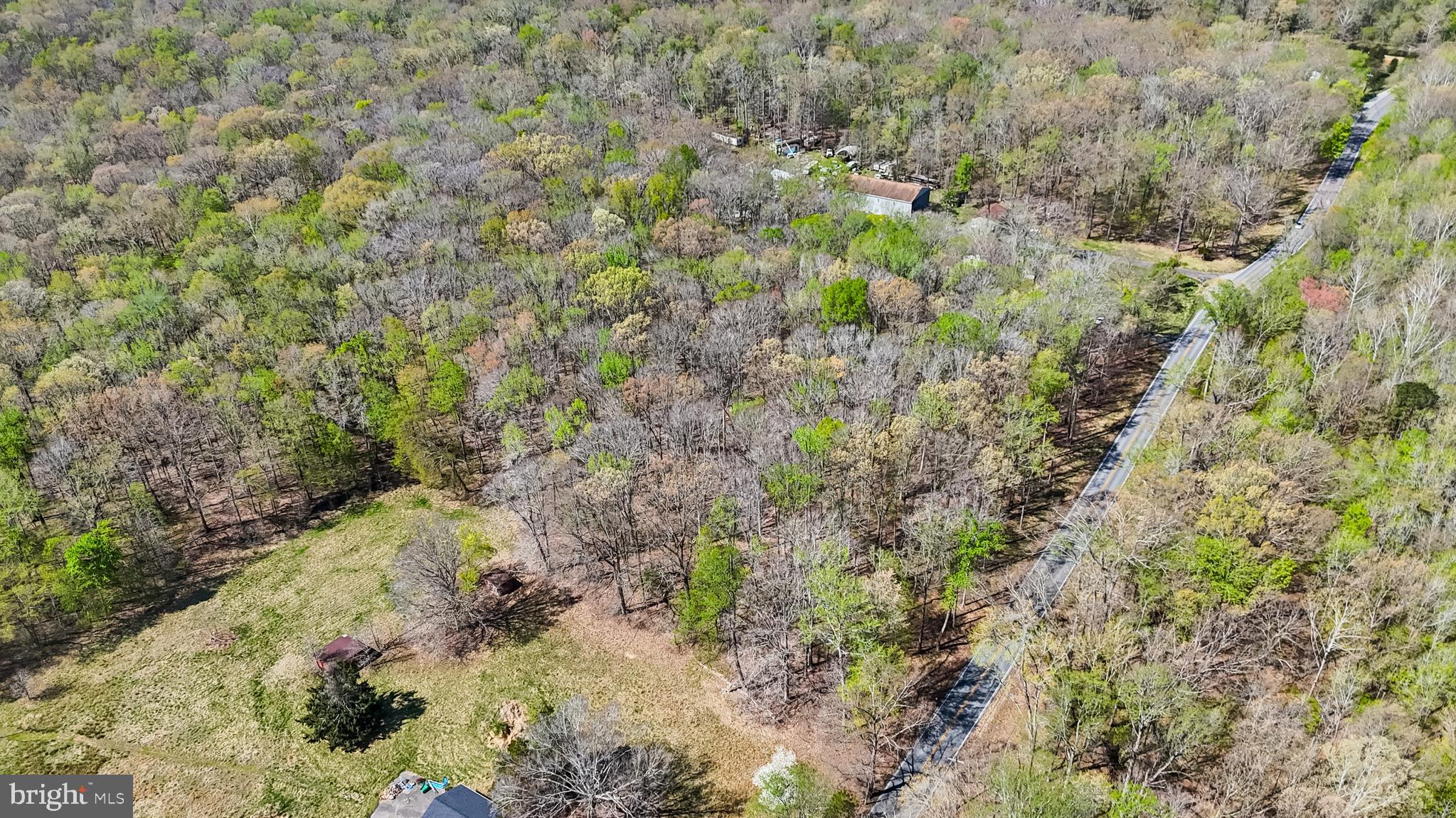 Lot 14 Billingsley Road White Plains, MD 20695 - Photo 16 of 20 a view of a forest with a pathway