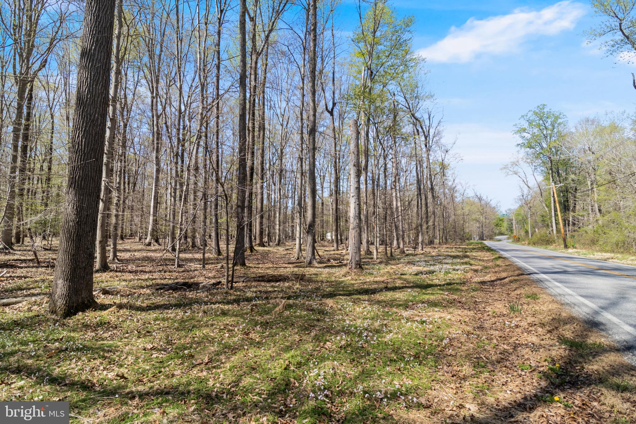 Lot 14 Billingsley Road White Plains, MD 20695 - Photo 6 of 20 a view of outdoor space with garden