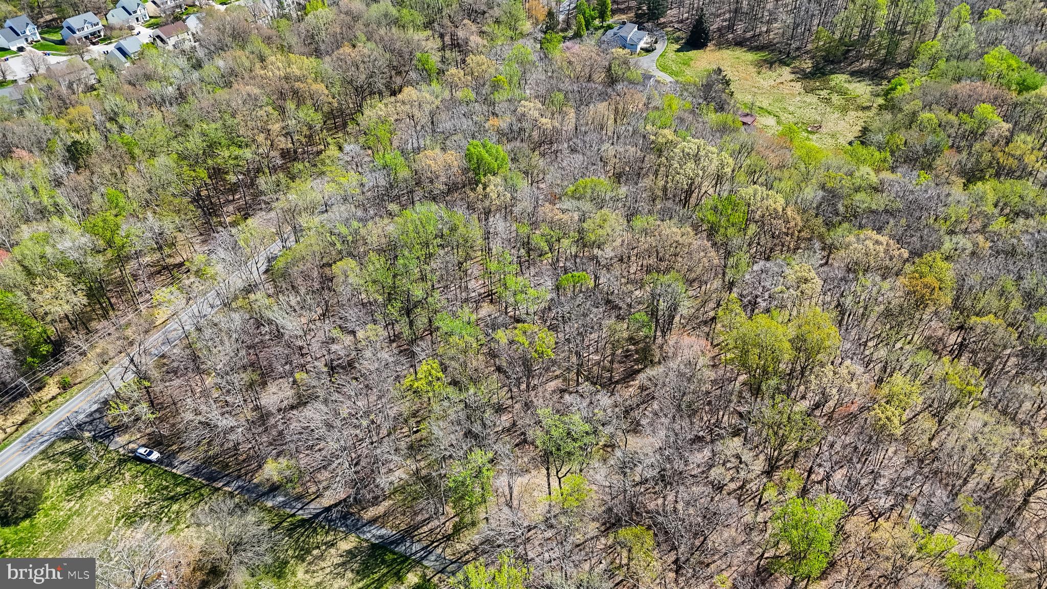Lot 14 Billingsley Road White Plains, MD 20695 - Photo 8 of 20 a view of a forest with a tree