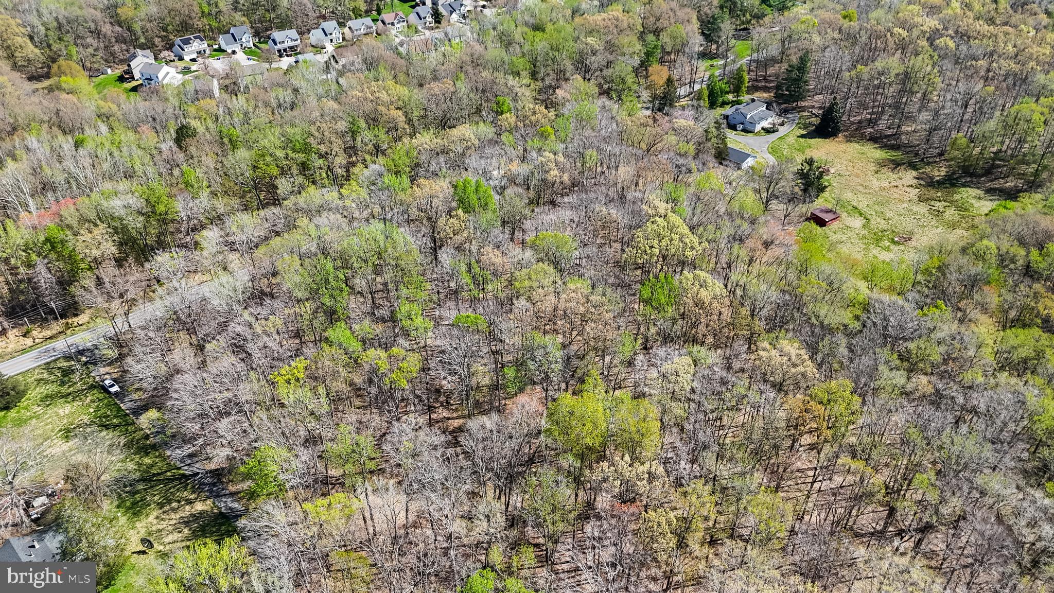 Lot 14 Billingsley Road White Plains, MD 20695 - Photo 9 of 20 a view of a yard with a tree