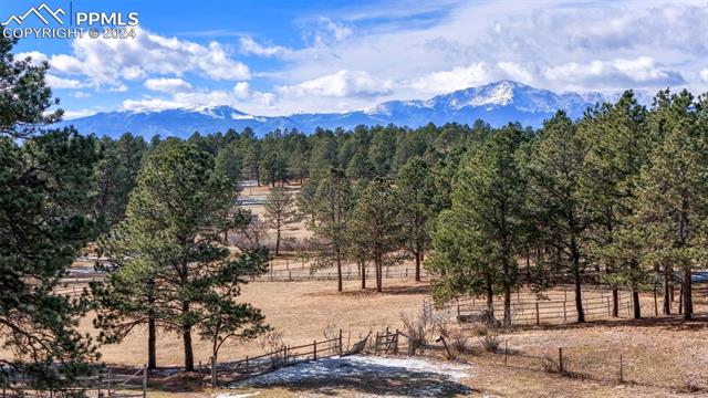 7190 Tobin Road Colorado Springs, CO 80908 - Photo 9 of 11 Gallery Image 9