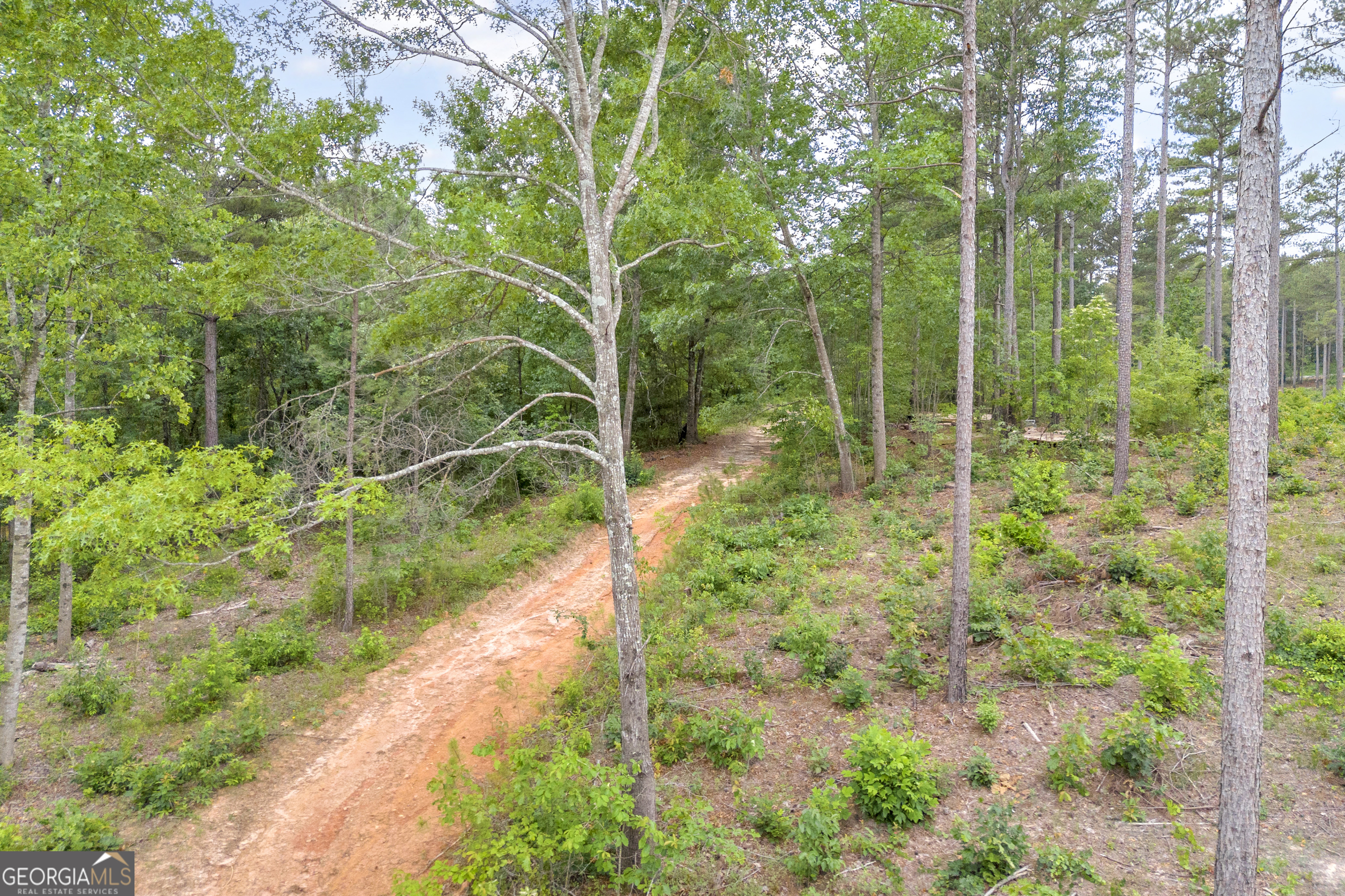 0 Mt Sinai Road, Unit LOT 1 Lula, GA 30554 - Photo 30 of 67