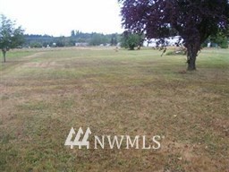 110 Jordan Road Salkum, WA 98582 - Photo 4 of 9