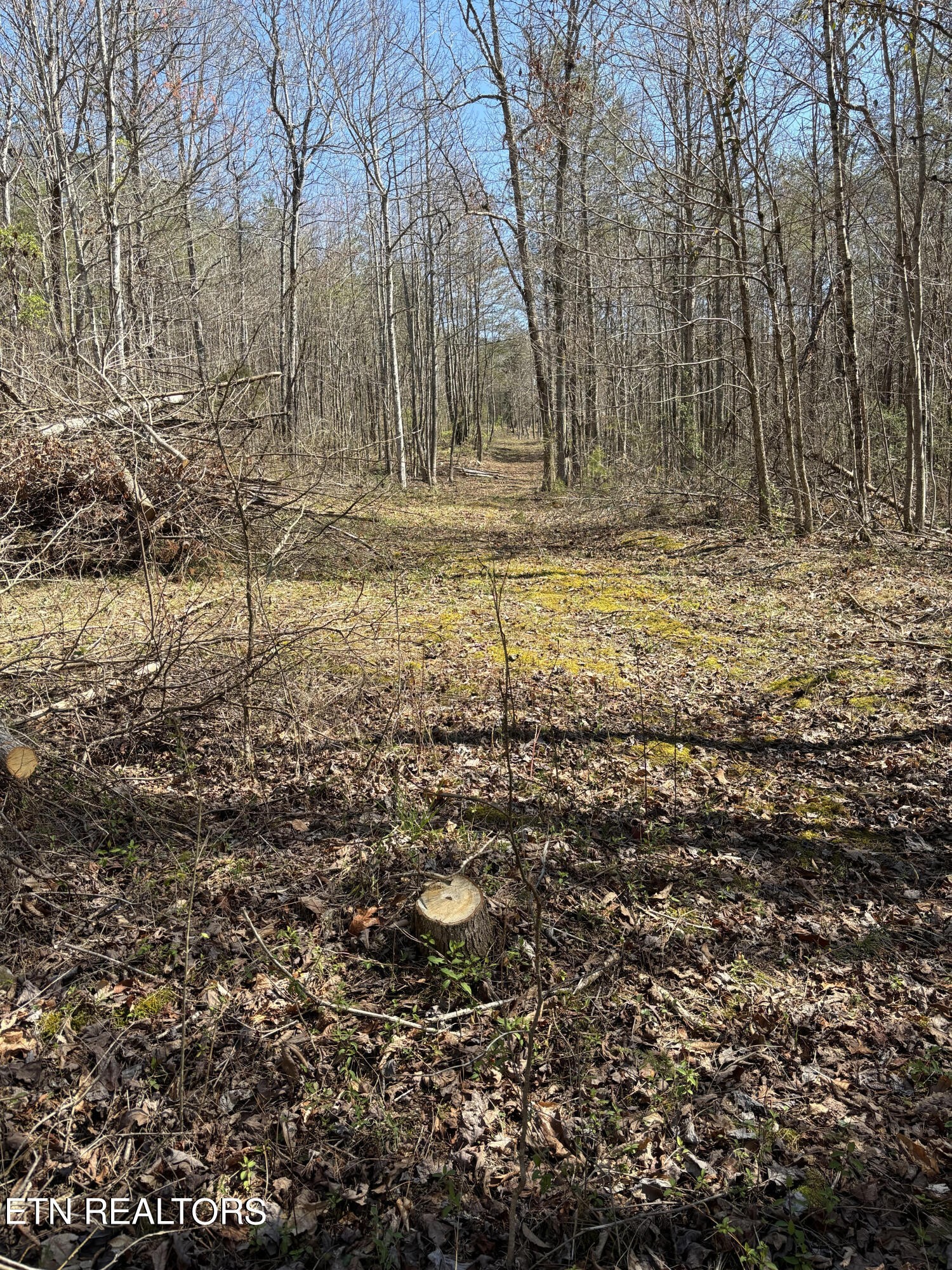 5908 Happy Valley Road Tallassee, TN 37878 - Photo 34 of 34 Gallery Image 34