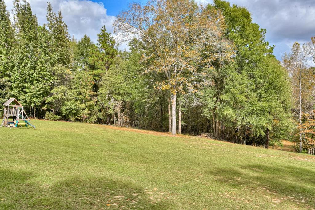 4719 Banks Mill Road Southeast Aiken, SC 29803 - Photo 42 of 45 Back