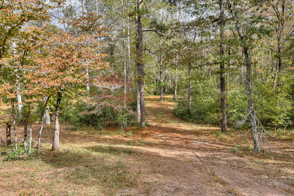 4719 Banks Mill Road Southeast Aiken, SC 29803 - Photo 43 of 45 Trail to Creek
